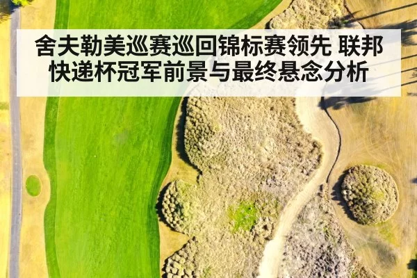 舍夫勒美巡赛巡回锦标赛领先 联邦快递杯冠军前景与最终悬念分析