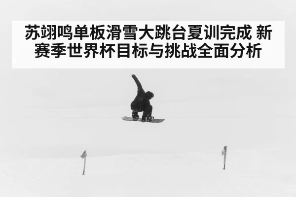 苏翊鸣单板滑雪大跳台夏训完成 新赛季世界杯目标与挑战全面分析
